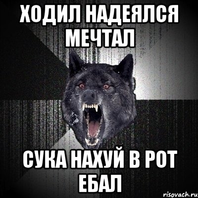 ХОДИЛ НАДЕЯЛСЯ МЕЧТАЛ СУКА НАХУЙ В РОТ ЕБАЛ, Мем Сумасшедший волк