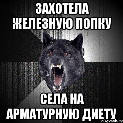 захотела железную попку села на арматурную диету, Мем Сумасшедший волк