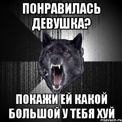 ПОНРАВИЛАСЬ ДЕВУШКА? ПОКАЖИ ЕЙ КАКОЙ БОЛЬШОЙ У ТЕБЯ ХУЙ, Мем Сумасшедший волк