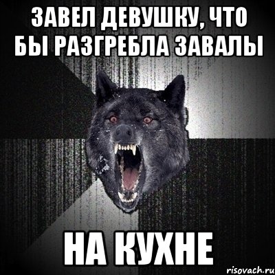 Завел девушку, что бы разгребла завалы на кухне, Мем Сумасшедший волк