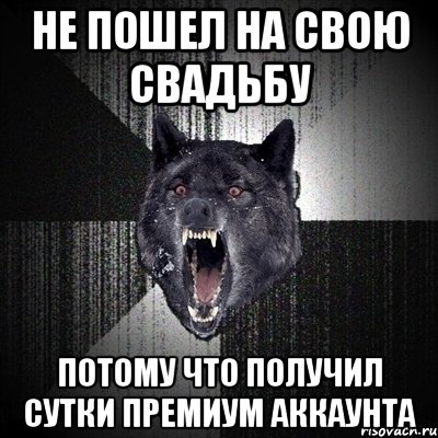 не пошел на свою свадьбу потому что получил сутки премиум аккаунта, Мем Сумасшедший волк