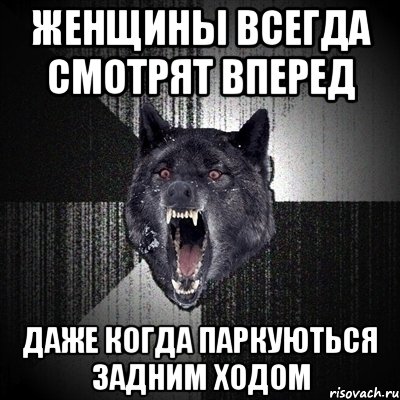 женщины всегда смотрят вперед даже когда паркуються задним ходом, Мем Сумасшедший волк