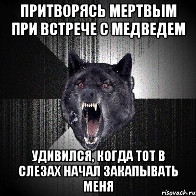 притворясь мертвым при встрече с медведем удивился, когда тот в слезах начал закапывать меня, Мем Сумасшедший волк