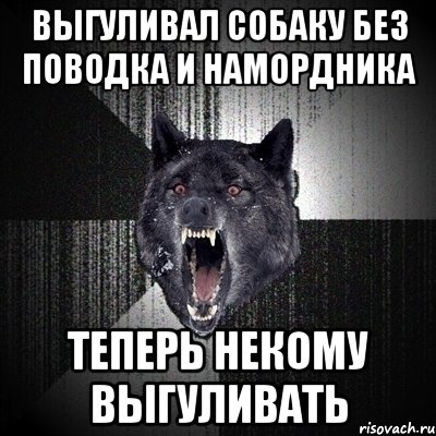 Выгуливал собаку без поводка и намордника Теперь некому выгуливать, Мем Сумасшедший волк