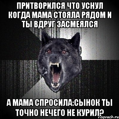 Притворился что уснул когда мама стояла рядом и ты вдруг засмеялся А мама спросила:Сынок ты точно нечего не курил?, Мем Сумасшедший волк