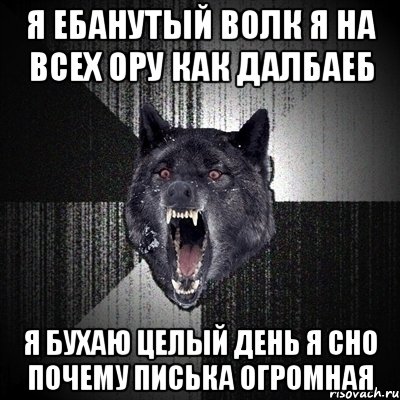 Я ебанутый волк я на всех ору как далбаеб Я бухаю целый день я сно почему писька огромная, Мем Сумасшедший волк