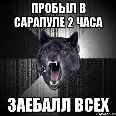 пробыл в сарапуле 2 часа заебалл всех, Мем Сумасшедший волк