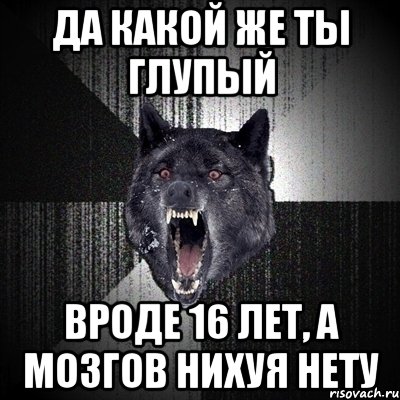 Да какой же ты глупый Вроде 16 лет, а мозгов нихуя нету, Мем Сумасшедший волк