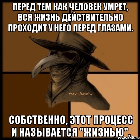 ПЕРЕД ТЕМ КАК ЧЕЛОВЕК УМРЕТ, ВСЯ ЖИЗНЬ ДЕЙСТВИТЕЛЬНО ПРОХОДИТ У НЕГО ПЕРЕД ГЛАЗАМИ. СОБСТВЕННО, ЭТОТ ПРОЦЕСС И НАЗЫВАЕТСЯ "ЖИЗНЬЮ"., Мем  Чума