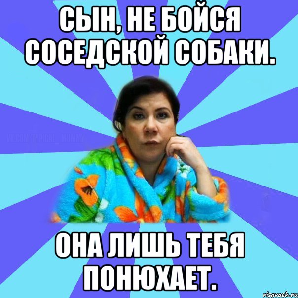 Сын, не бойся соседской собаки. Она лишь тебя понюхает., Мем типичная мама