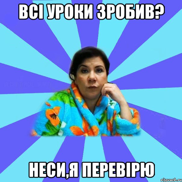 всі уроки зробив? неси,я перевірю, Мем типичная мама