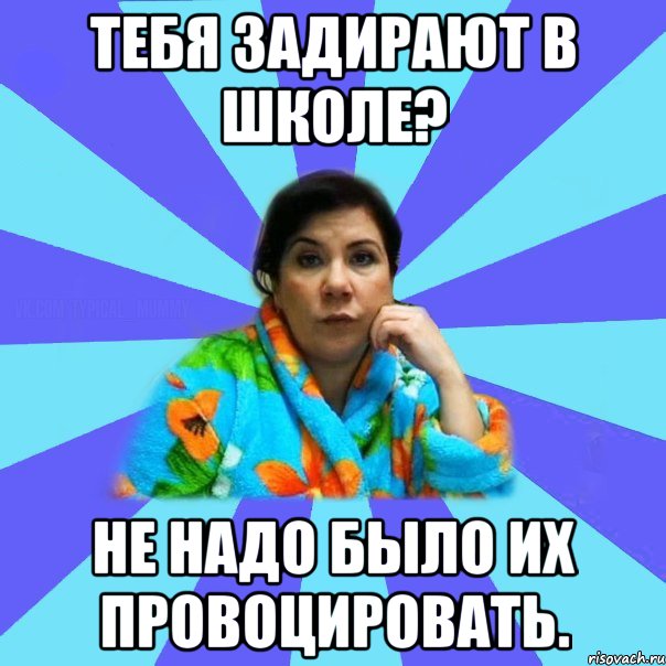 Тебя задирают в школе? Не надо было их провоцировать., Мем типичная мама