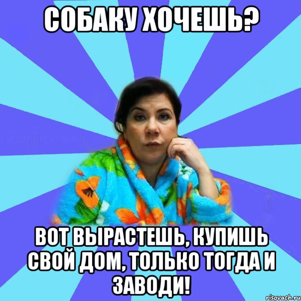 Собаку хочешь? Вот вырастешь, купишь свой дом, только тогда и заводи!, Мем типичная мама