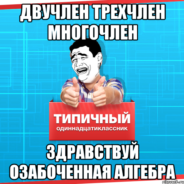 двучлен трехчлен многочлен Здравствуй озабоченная алгебра, Мем Типичный одиннадцатиклассник