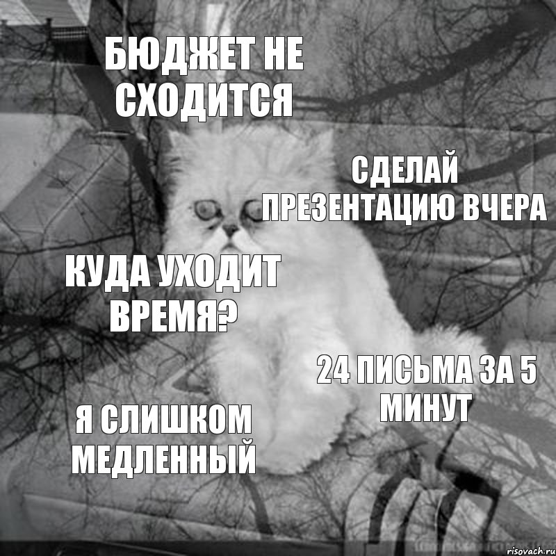 бюджет не сходится сделай презентацию вчера куда уходит время? 24 письма за 5 минут я слишком медленный, Комикс  кот безысходность