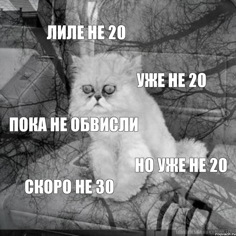 Лиле не 20 уже не 20 пока не обвисли но уже не 20 скоро не 30, Комикс  кот безысходность