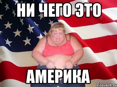 ни чего это америка, Мем Толстая американка