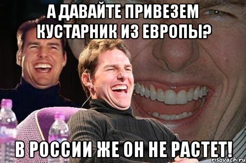 А давайте привезем кустарник из Европы? В России же он не растет!, Мем том круз