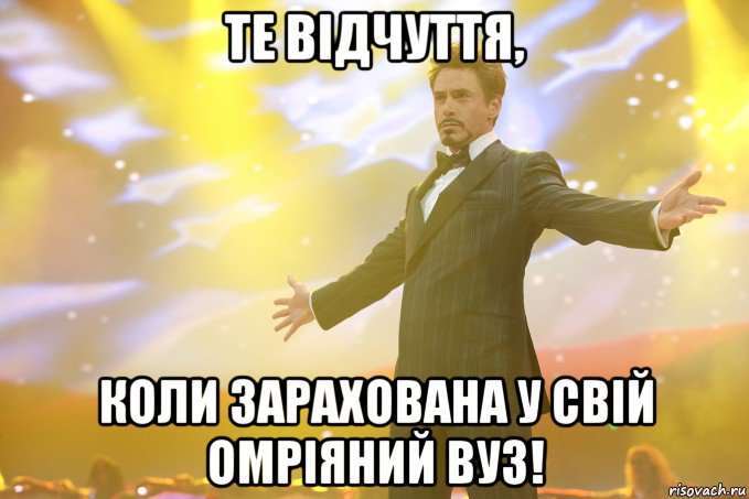 Те відчуття, коли зарахована у свій омріяний вуз!, Мем Тони Старк (Роберт Дауни младший)