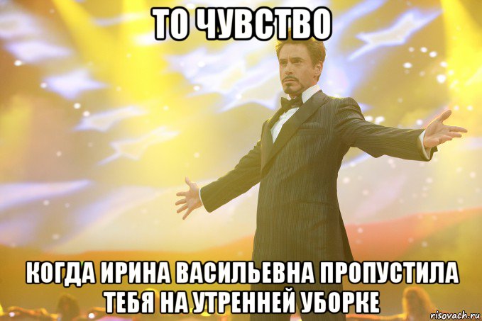 то чувство когда Ирина Васильевна пропустила тебя на утренней уборке, Мем Тони Старк (Роберт Дауни младший)