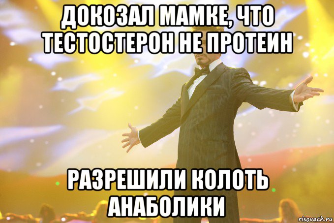 докозал мамке, что тестостерон не протеин разрешили колоть анаболики, Мем Тони Старк (Роберт Дауни младший)