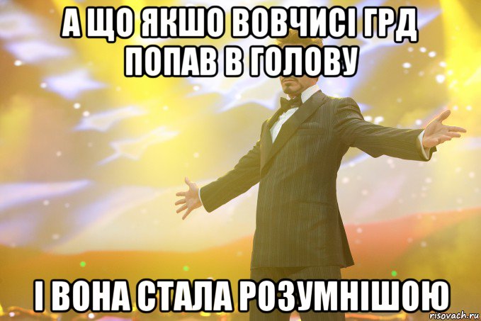 А що якшо вовчисі грд попав в голову І вона стала розумнішою, Мем Тони Старк (Роберт Дауни младший)