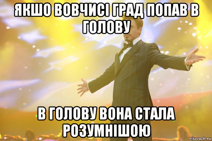 Якшо вовчисі град попав в голову в голову вона стала розумнішою, Мем Тони Старк (Роберт Дауни младший)