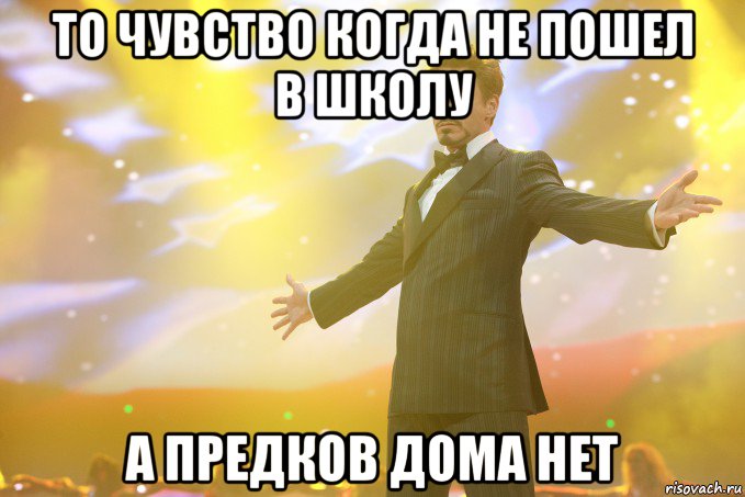 То чувство когда не пошел в школу А предков дома нет, Мем Тони Старк (Роберт Дауни младший)