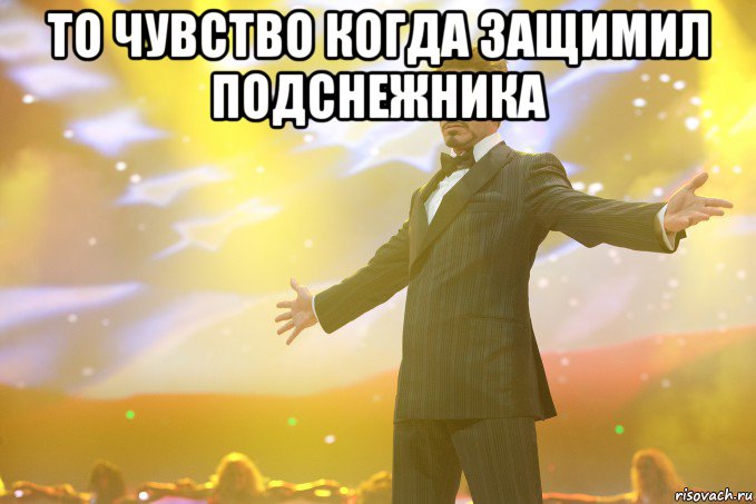 То чувство когда защимил подснежника , Мем Тони Старк (Роберт Дауни младший)