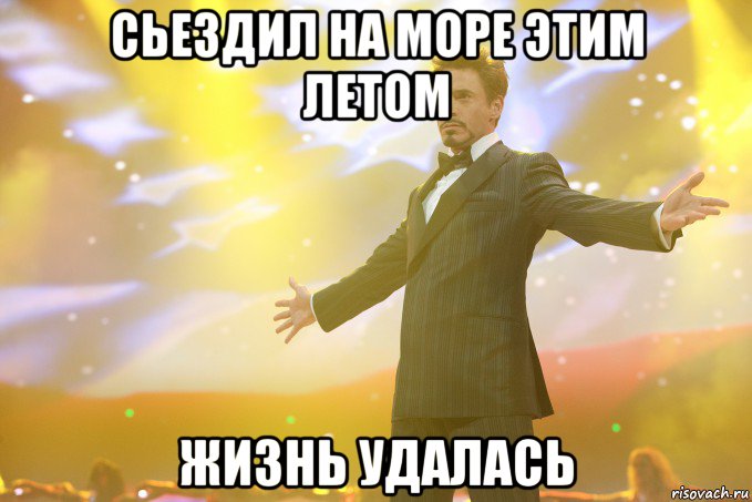 Сьездил на море этим летом Жизнь удалась, Мем Тони Старк (Роберт Дауни младший)