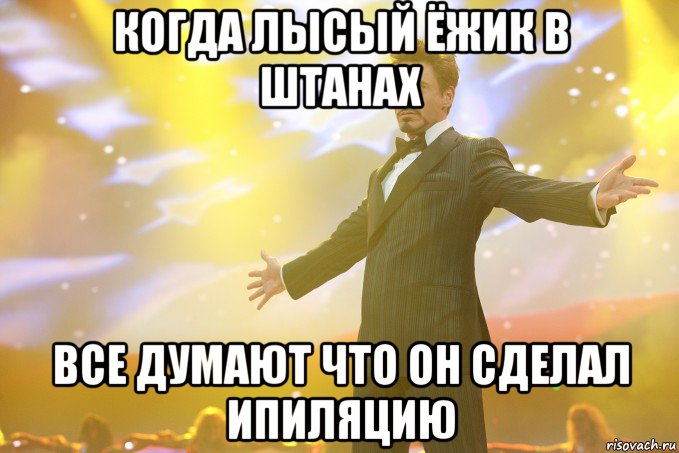 Когда лысый ёжик в штанах Все думают что он сделал ипиляцию, Мем Тони Старк (Роберт Дауни младший)