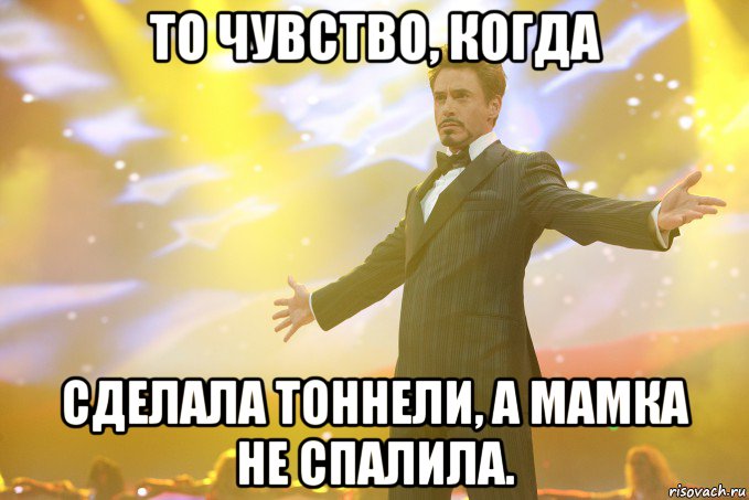 То чувство, когда сделала тоннели, а мамка не спалила., Мем Тони Старк (Роберт Дауни младший)