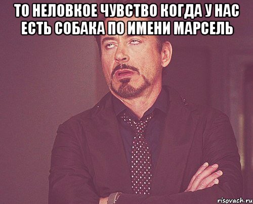 То неловкое чувство когда у нас есть собака по имени Марсель , Мем твое выражение лица