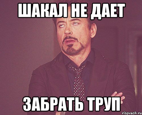 Шакал не дает забрать труп, Мем твое выражение лица