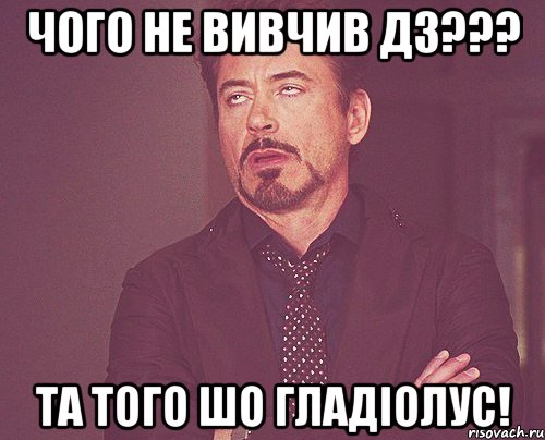 Чого не вивчив ДЗ??? Та того шо гладіолус!, Мем твое выражение лица