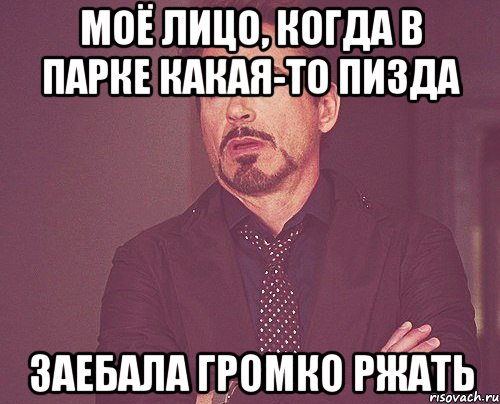 Моё лицо, когда в парке какая-то пизда Заебала громко ржать, Мем твое выражение лица