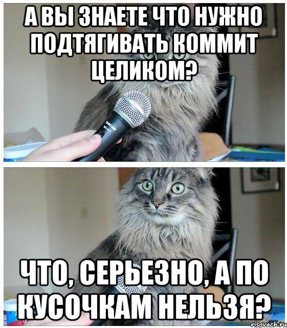 А Вы знаете что нужно подтягивать коммит целиком? Что, серьезно, а по кусочкам нельзя?, Комикс  кот с микрофоном