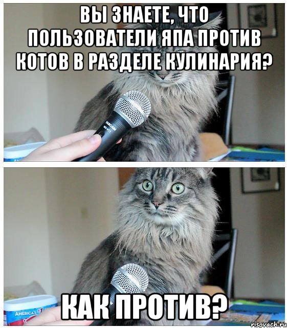 Вы знаете, что пользователи ЯПа против котов в разделе кулинария? Как против?, Комикс  кот с микрофоном