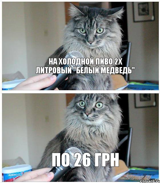 На холодной Пиво 2х литровый "Белый Медведь" по 26 грн, Комикс  кот с микрофоном