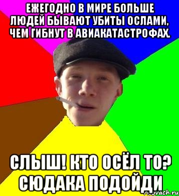 Ежегодно в мире больше людей бывают убиты ослами, чем гибнут в авиакатастрофах. Слыш! Кто осёл то? сюдака подойди, Мем умный гопник