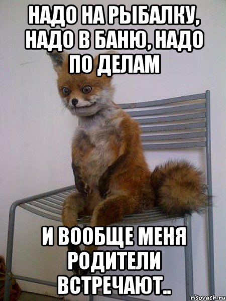 Надо на рыбалку, надо в баню, надо по делам И вообще меня родители встречают.., Мем Упоротая лиса