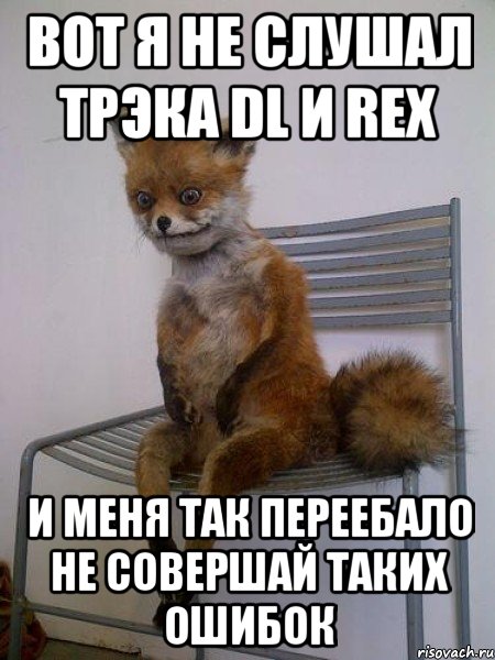 Вот я не слушал трэка DL И REX И меня так переебало Не совершай таких ошибок, Мем Упоротая лиса