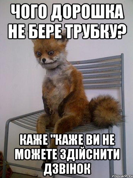 чого дорошка не бере трубку? каже "каже ви не можете здійснити дзвінок, Мем Упоротая лиса