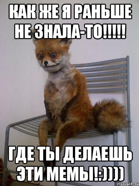 как же я раньше не знала-то!!!!! где ты делаешь эти мемы!:)))), Мем Упоротая лиса