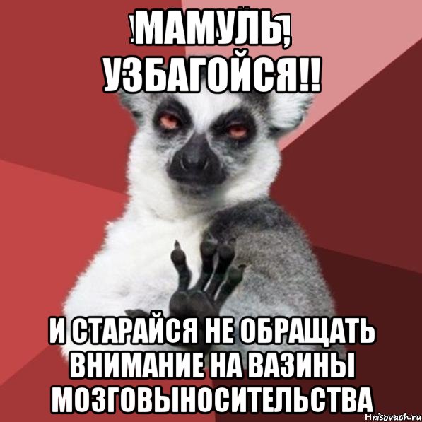 Мамуль, узбагойся!! и старайся не обращать внимание на Вазины мозговыносительства, Мем Узбагойзя