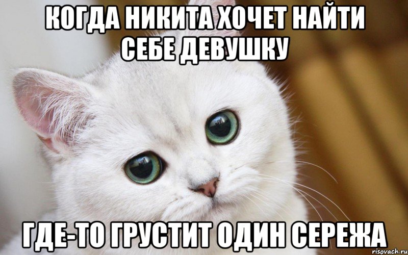 когда никита хочет найти себе девушку где-то грустит один сережа, Мем  В мире грустит один котик