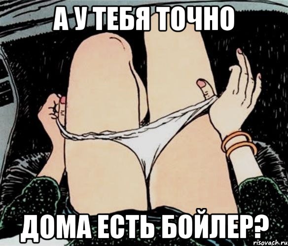 А У ТЕБЯ ТОЧНО ДОМА ЕСТЬ БОЙЛЕР?, Мем А ты точно