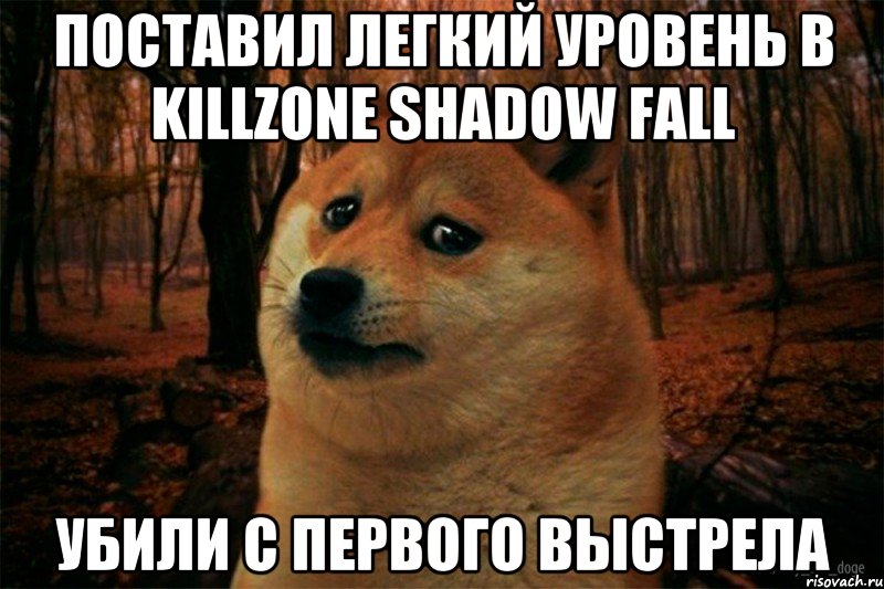 поставил легкий уровень в Killzone Shadow Fall убили с первого выстрела, Мем SAD DOGE