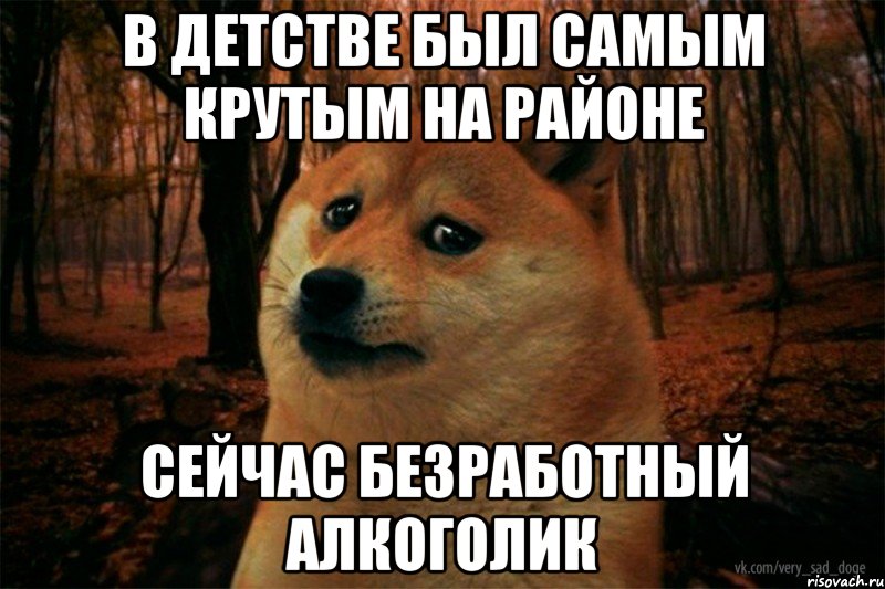 в детстве был самым крутым на районе сейчас безработный алкоголик, Мем SAD DOGE