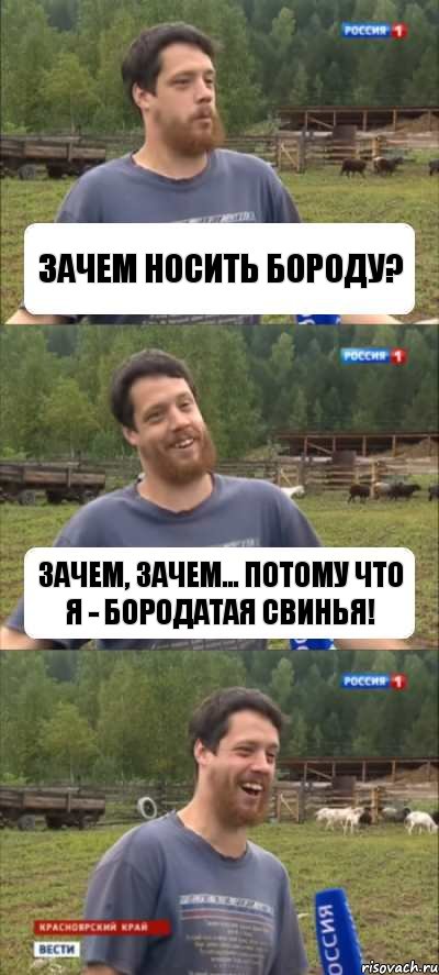 Зачем носить бороду? Зачем, зачем... Потому что я - бородатая свинья!, Комикс Веселый Молочник Джастас Уолкер